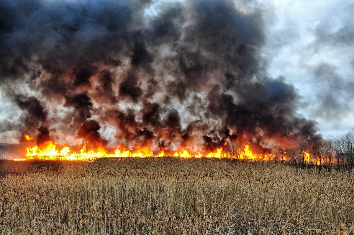 О риске возникновения ландшафтных пожаров.